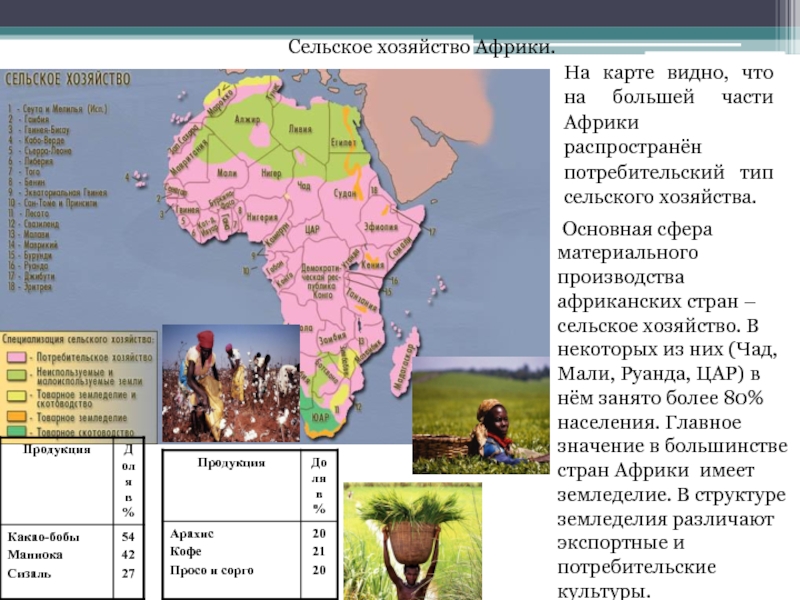 Презентация хозяйство африки 11 класс география