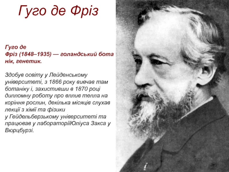 Гуго де фриз. Гуго де фриз 1848–1935 гг.. Парикмахер Гуго. Гуго де фриз предложил термин мутация.