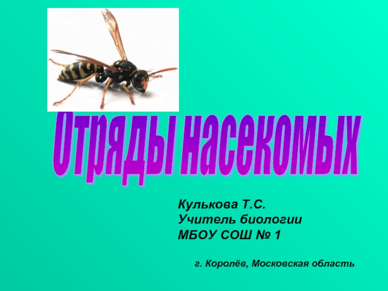 Отряды насекомых (7 класс)