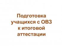 Подготовка учащихся с ОВЗ к итоговой аттестации