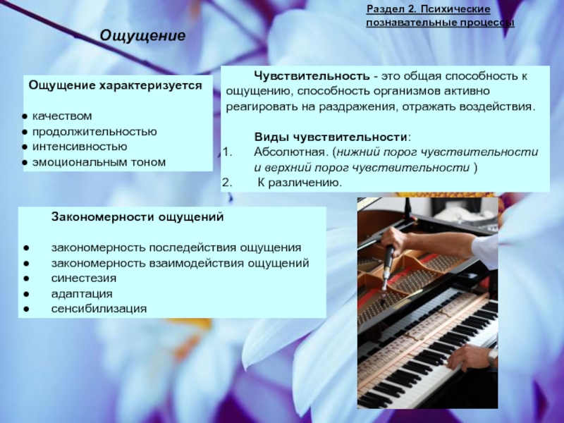 Чувствительность адаптация сенсибилизация синестезия. Закономерности ощущений адаптация сенсибилизация синестезия. Закономерности ощущений в психологии. Взаимодействие ощущений. Адаптация ощущений в психологии.