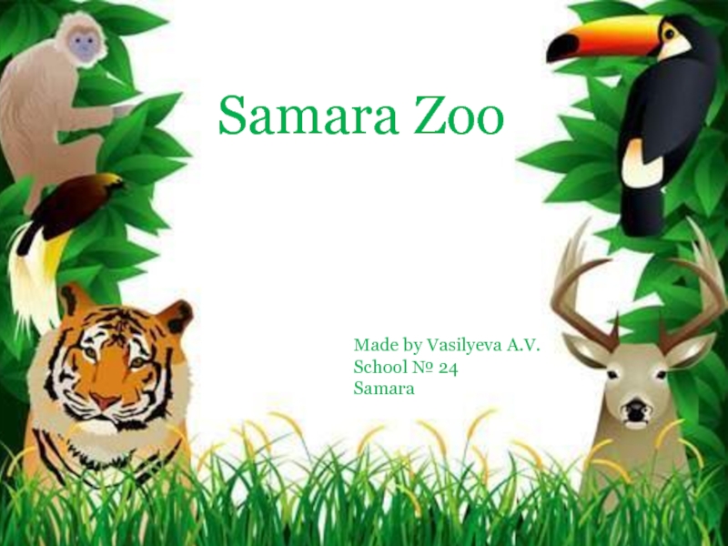 Samara Zoo 4 класс