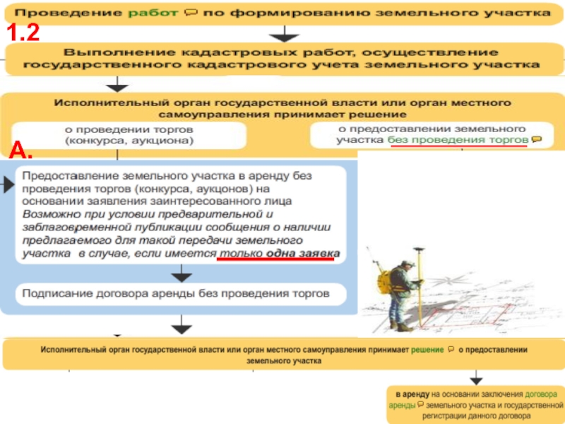 Аренда без проведения торгов. Порядок проведения аукциона земельного участка. Предоставление земельного участка без торгов. Предоставление ЗУ. Предоставление земельных участков аукцион.