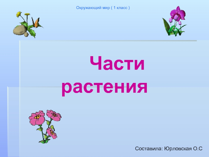 Части растений (1 класс)