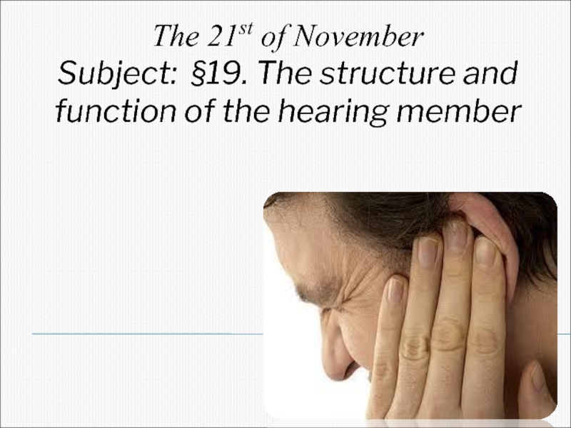 §19. The structure and function of the hearing member