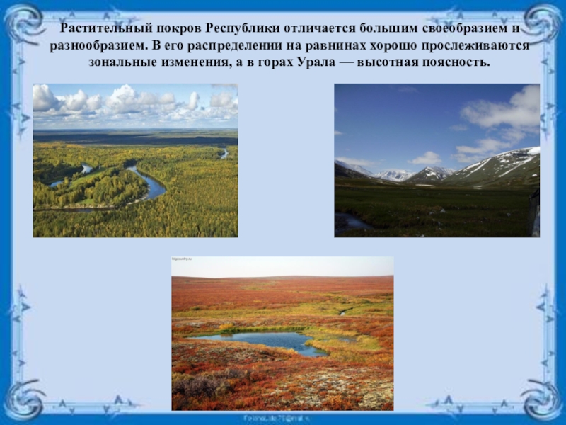 Как изменяется растительный покров. Растительный Покров. Растительный Покров Урала. Природные зоны уральских гор. Изменение растительного Покрова на равнине.