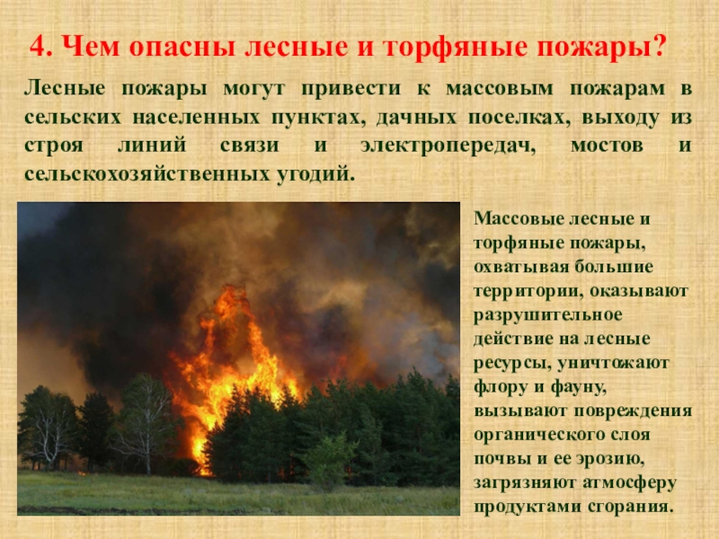 Информация о лесных пожарах