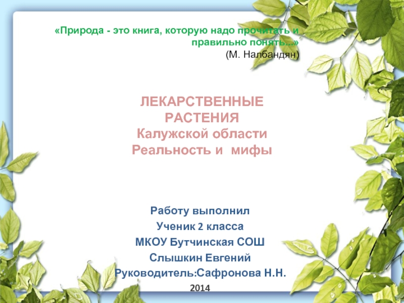 Презентация Лекарственные растения Калужской области