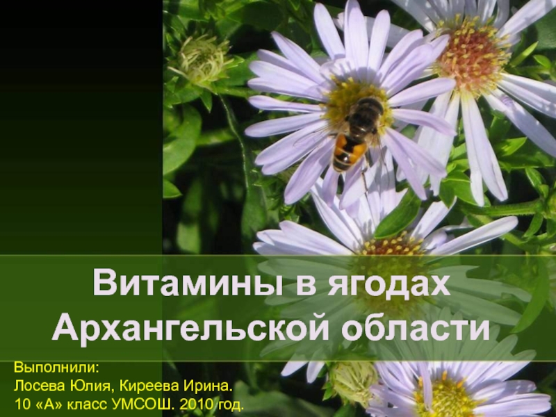 Витамины в ягодах Архангельской области 10 класс
