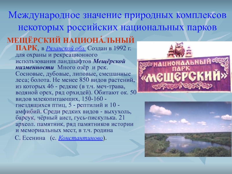 Значение природных комплексов. Природные парки охрана. Национальный государственный природный парк «Мещерский. Мещёрский национальный парк Рязанской области растения и животные.