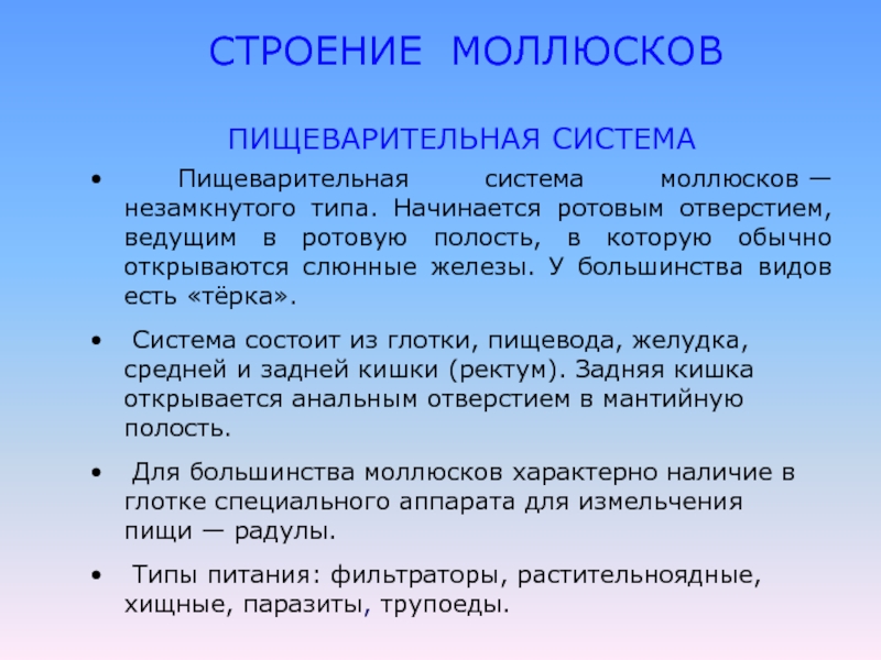 Чем обычно открываются. Тип моллюски пищеварительная система. Характеристика пищеварительной системы моллюсков. Пищеварительная система моллюсков таблица. Пищеварение моллюсков таблица.