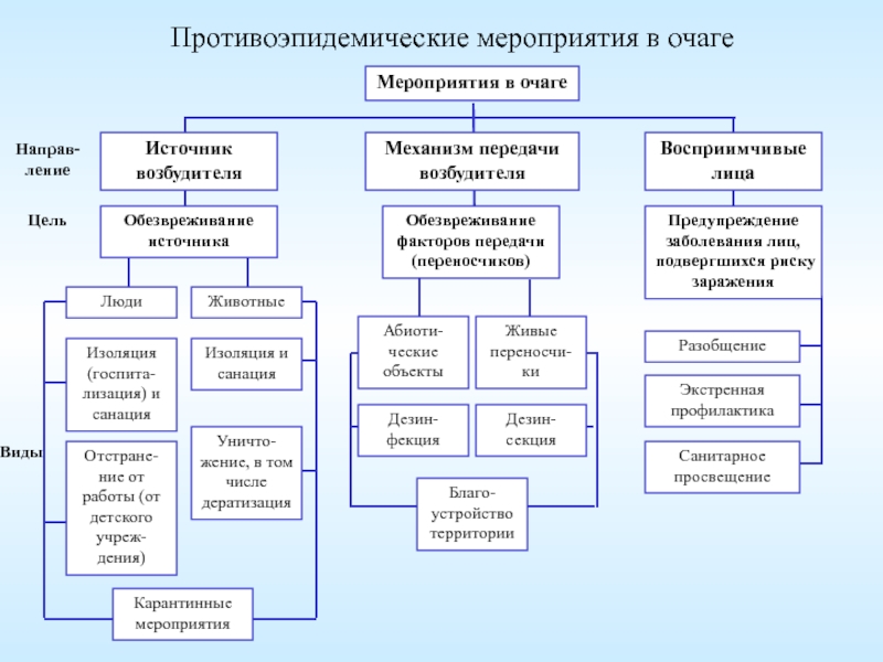 Кем утверждается и разрабатывается план профилактических и противоэпидемических мероприятий