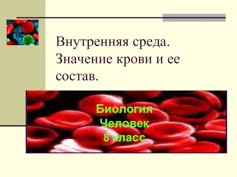 Внутренняя среда. Значение крови и ее состав.  Биология Человек 8 класс