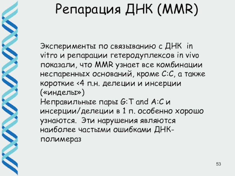 Репарация днк презентация