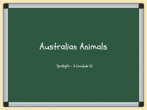 Австралийские животные - Australian Animals