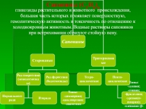 Сапонины 