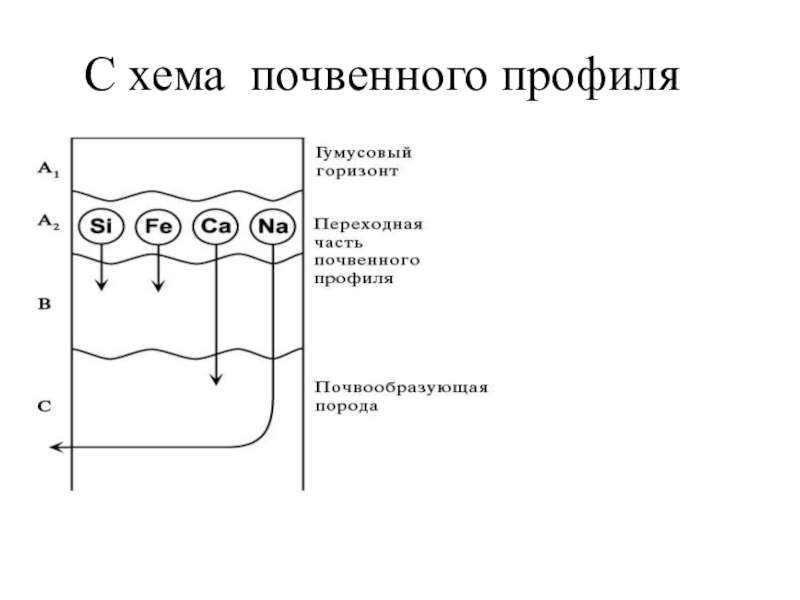 Схема почвенного профиля