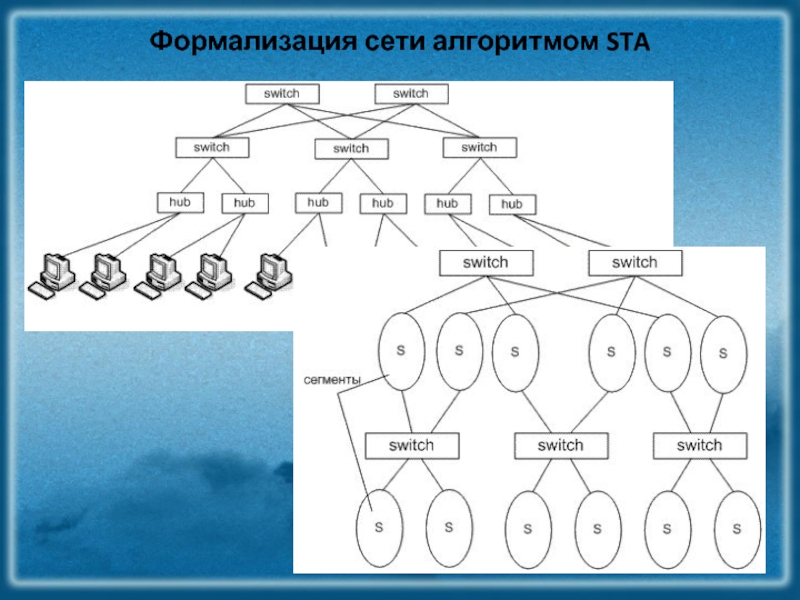 Алгоритмы сети