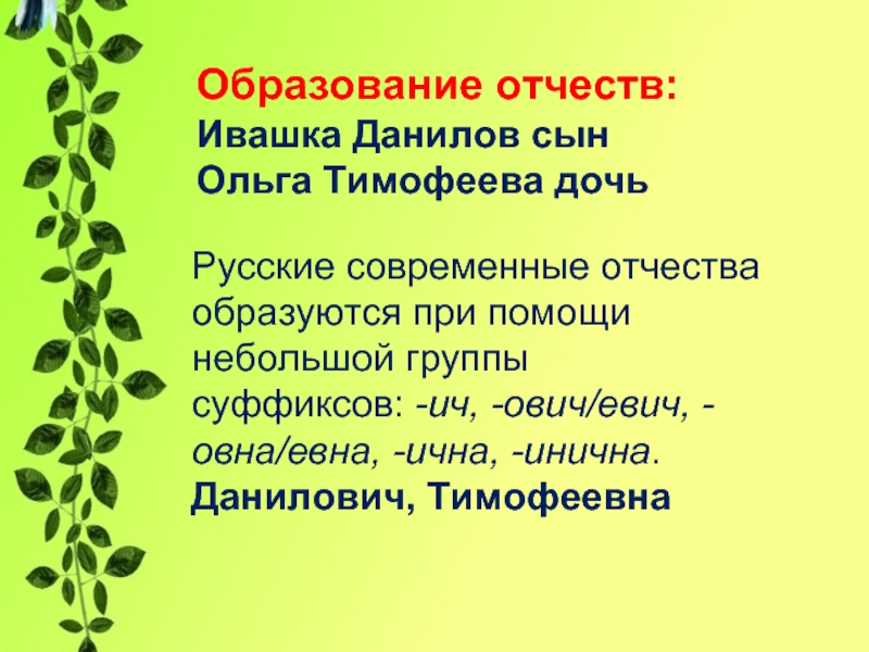 От какого слова образовано отчество отечество