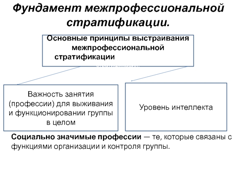 Основная социальная стратификация