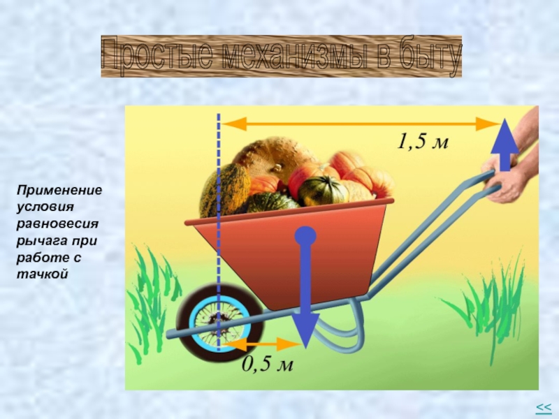 Простые механизмы рычаг равновесие. Простые механизмы в быту. Тачка простой механизм. Простые механизмы физика 7 класс. Простые механизмы рычаг равновесие сил на рычаге.