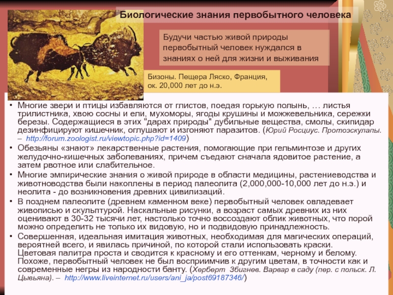 История и методология биологии Многие звери и птицы избавляются от глистов, поедая горькую полынь, … Многие звери и птицы избавляются от глистов, поедая горькую полынь, … листья трилистника, хвою сосны и ели,