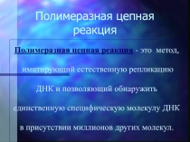 Полимеразная  цепная реакция 