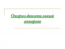 Опорно-двигательный аппарат