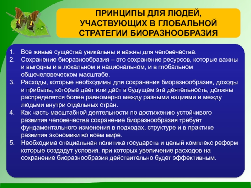 Национальная стратегия и план действий по сохранению биоразнообразия россии