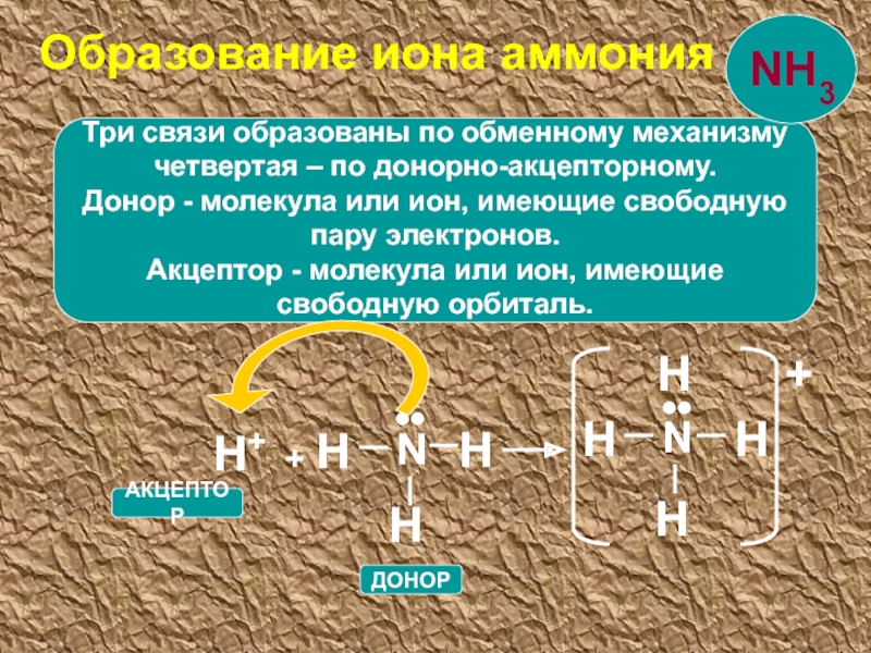 Обменная и донорно акцепторная связь. Nh3 связь. Связь образованная по обменному механизму. История открытия аммиака. Nh3 обменный или донорно.