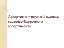 Ассортимент верхней одежды платьево-блузочного ассортимента