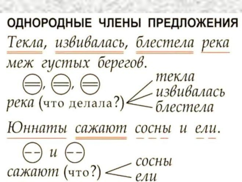 Как составить схему предложения с однородными членами