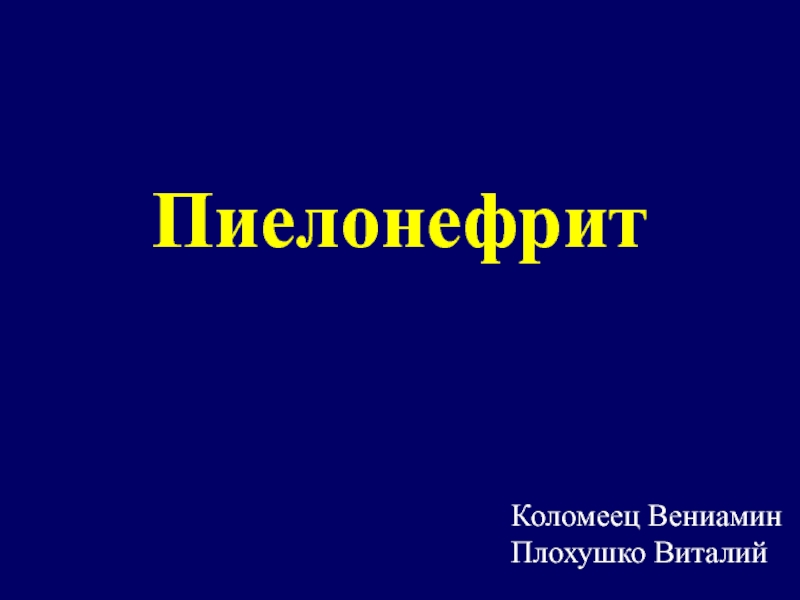 Презентация Коломеец Вениамин Плохушко Виталий