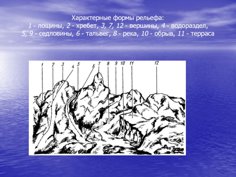 Террасы относятся к формам рельефа созданным. Характерные формы рельефа. Рельеф водоразделов. Тальвеги и водоразделы. Водораздел Тальвег схема.