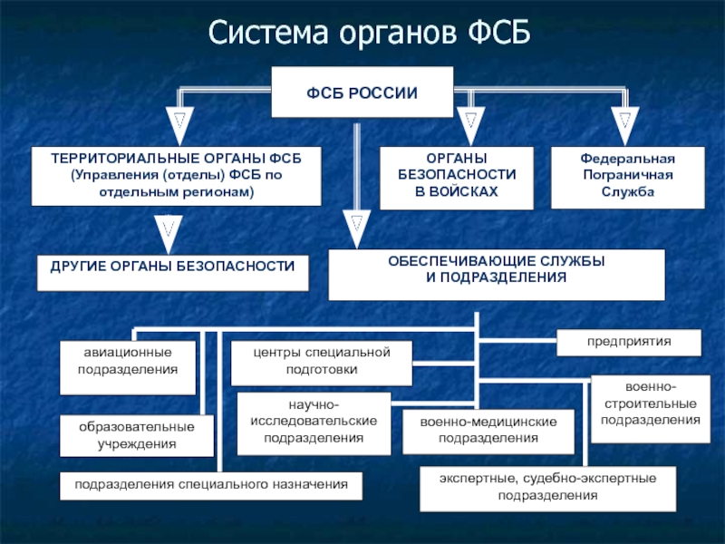 Функции подведомственных учреждений. Структура федеральных органов безопасности РФ.