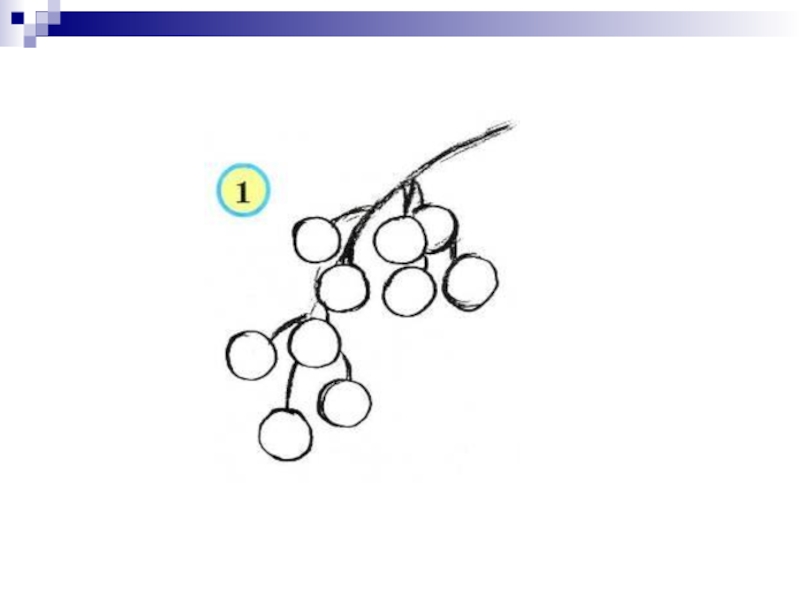 Как рисовать смородину
