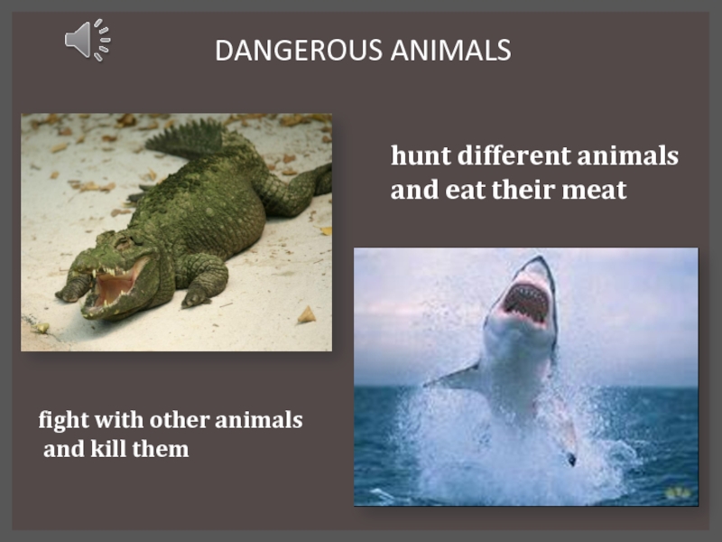 Animals in danger at present. Animals are our friends.