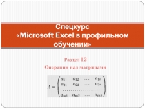 Спецкурс  Microsoft Excel в профильном обучении