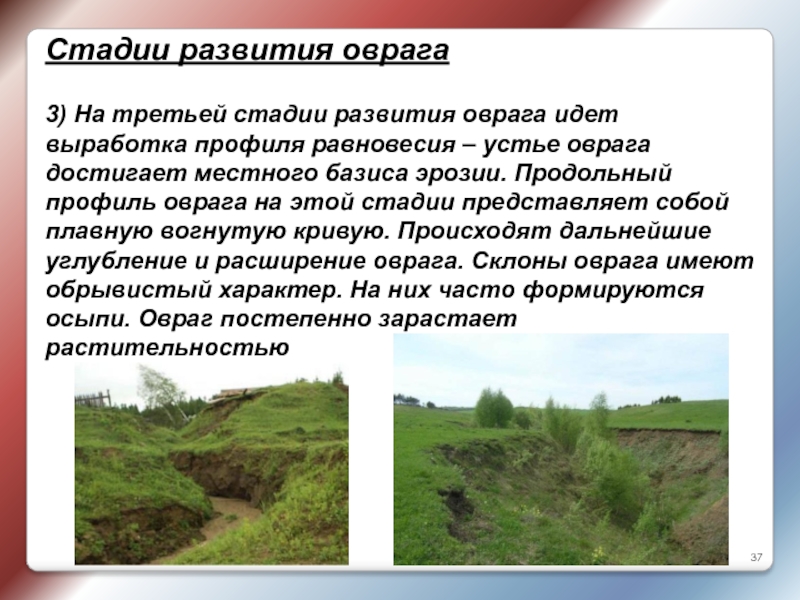 Что является причиной образования оврагов. Этапы образования оврага. Стадии оврага. Овражная эрозия.