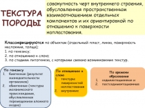 совокупность черт внутреннего строения, обусловленная пространственным