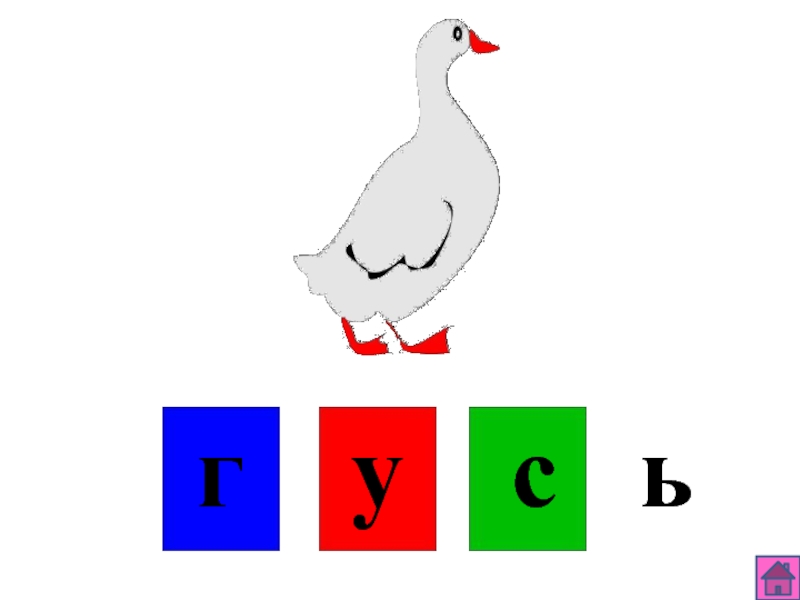 Звуковая схема слова гусь