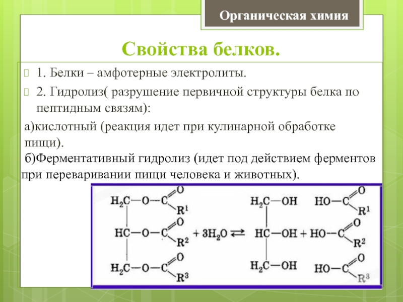 Гидролиз жира схема