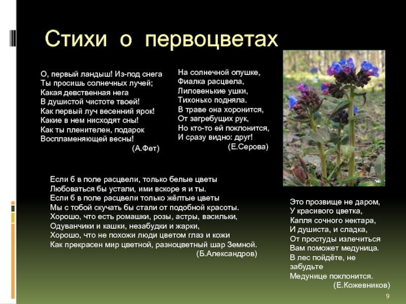 Стихи про первые весенние цветы. Стихотворение о первоцветах. Стихи про первоцветы. Стихи первоцветы весенние. Стихи и загадки о первоцветах.