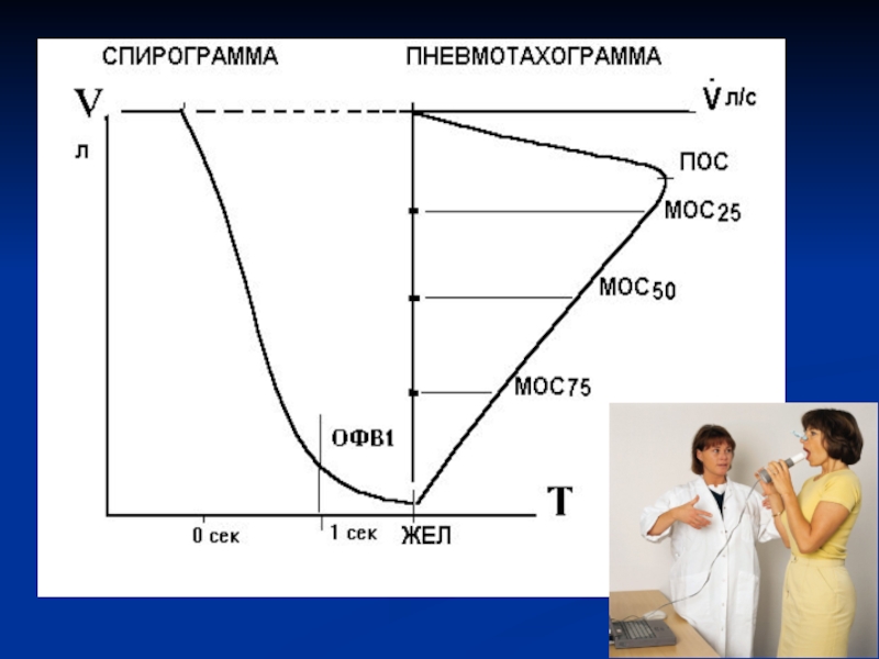 1 нарисовать спирограмму