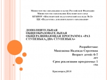Дополнительная общеобразовательная общеразвивающая программа 