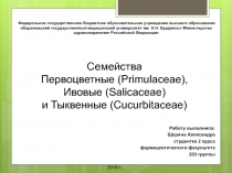 Федеральное государственное бюджетное образовательное учреждение высшего