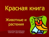 Красная книга. Животные и растения 2 класс