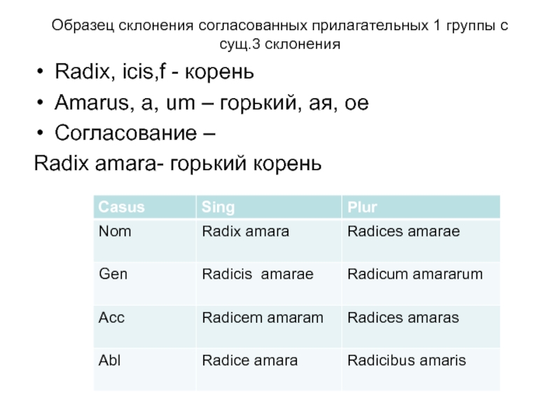 Образец склонения согласованных прилагательных 1 группы с сущ.3 склоненияRadix, icis,f - кореньAmarus, a, um – горький, ая,