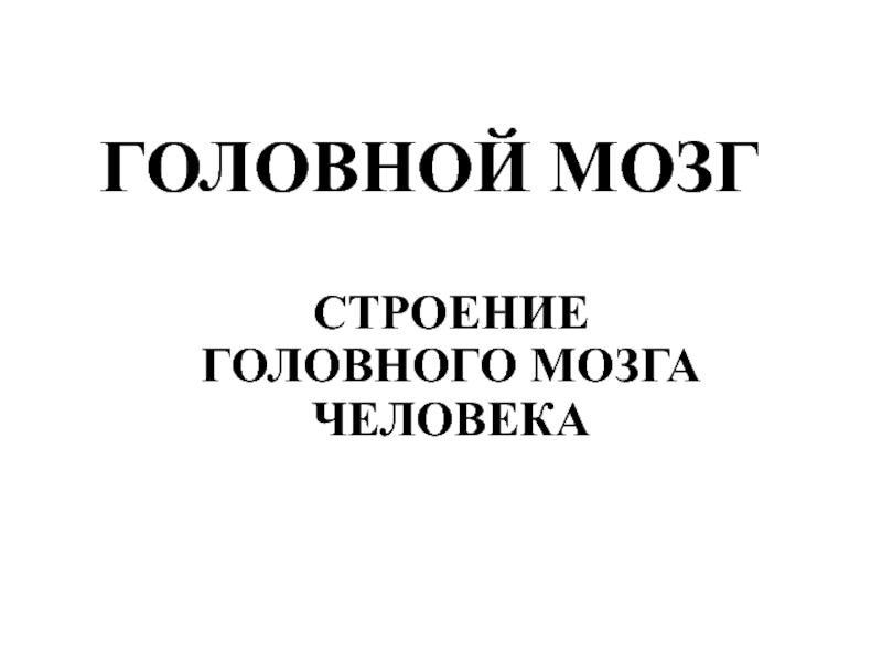 ГОЛОВНОЙ МОЗГ