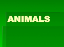 Animals 2 класс